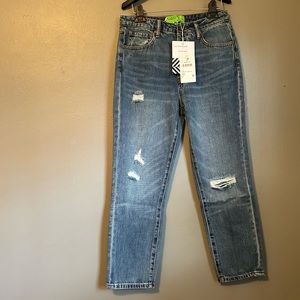 NWT Free People Sandrine Rose Sz 28/US 6 5-Button Lightly Distressed Jeans!